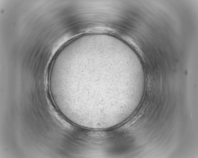 X0000087031083200705141916