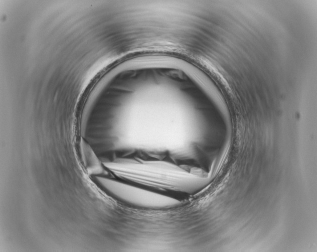 X0000087031085200705141916