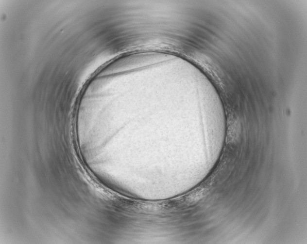 X0000087031086200705141916