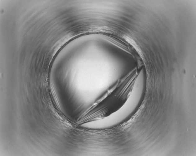 X0000087031089200705141916