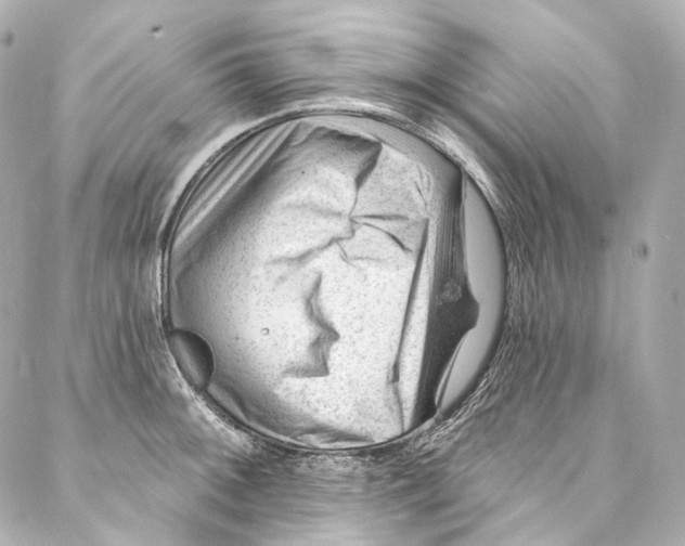 X0000087031092200705141916