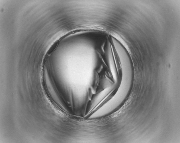 X0000087031093200705141916