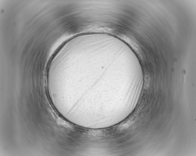 X0000087031094200705141916