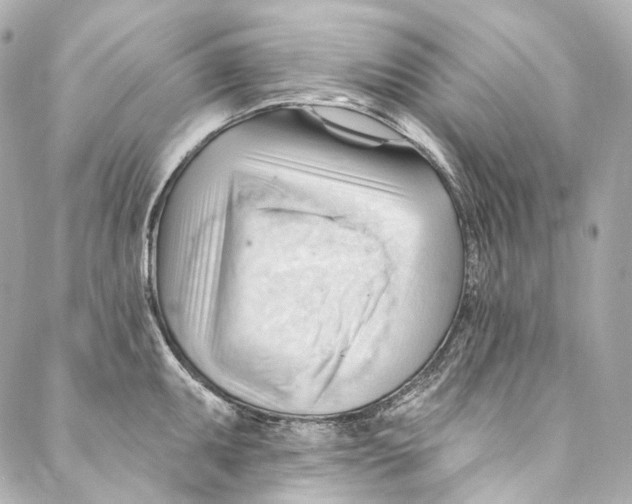 X0000087031095200705141916