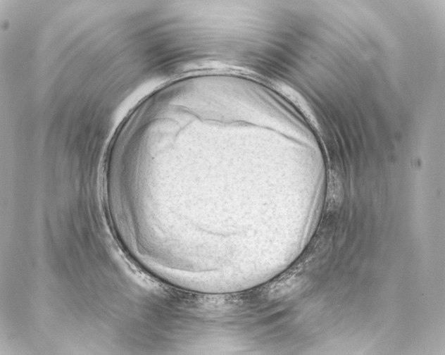 X0000087031098200705141916