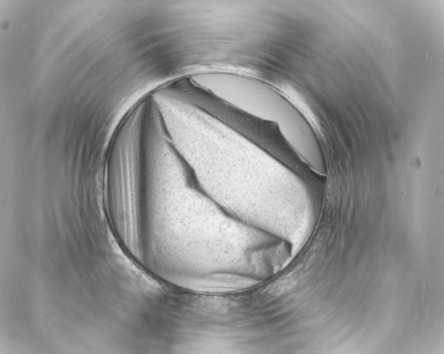 X0000087031100200705141916