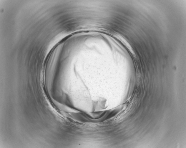 X0000087031101200705141916