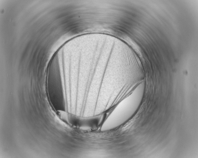 X0000087031102200705141916