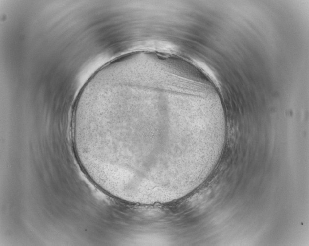 X0000087031103200705141916