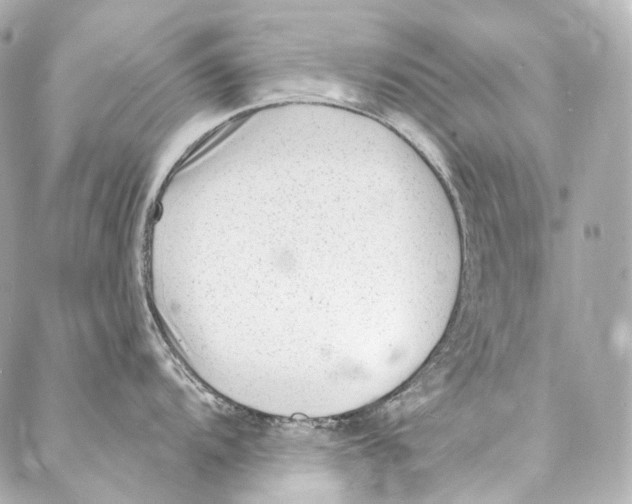 X0000087031104200705141916