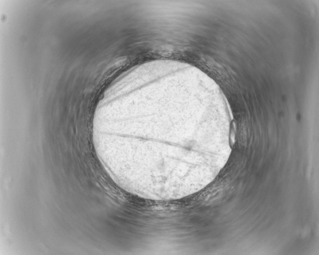 X0000087031105200705141915