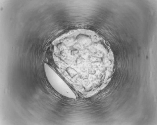 X0000087031106200705141915