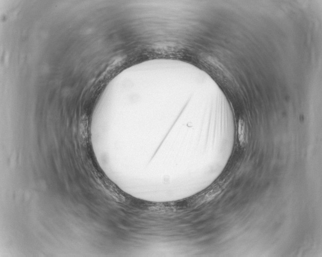 X0000087031107200705141915