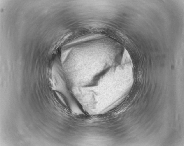 X0000087031108200705141915