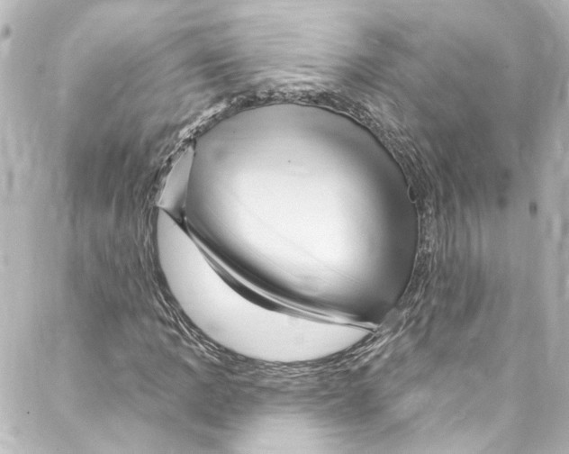 X0000087031109200705141915