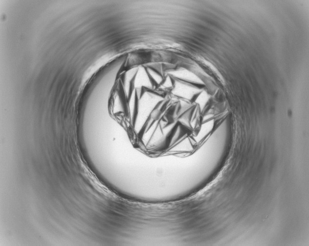 X0000087031114200705141915