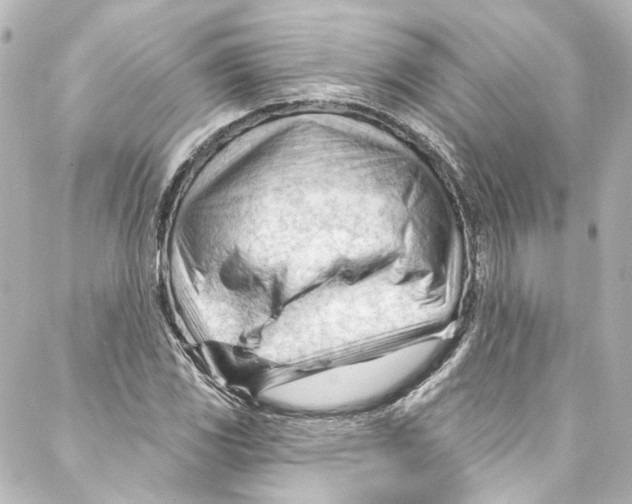 X0000087031117200705141915