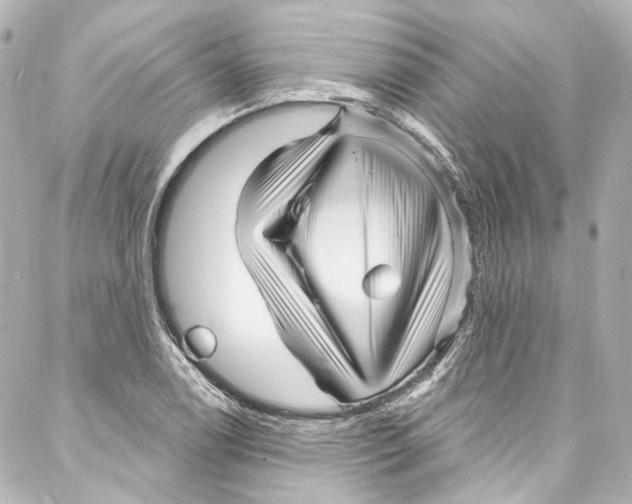 X0000087031122200705141915