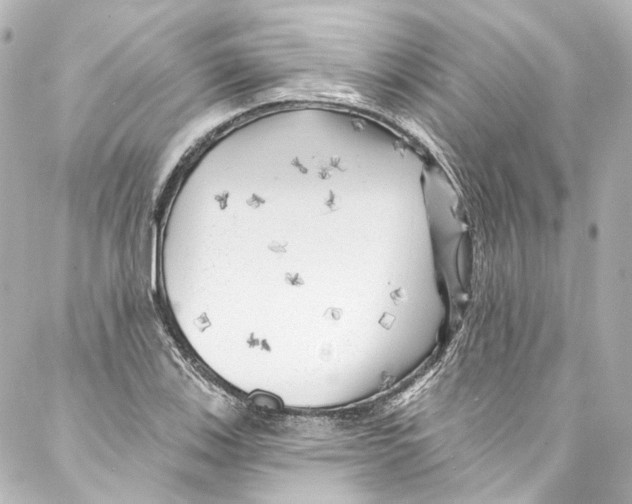 X0000087031123200705141915