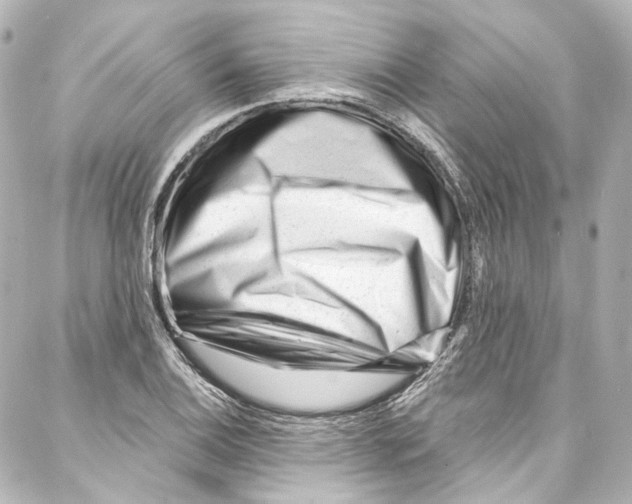 X0000087031124200705141915