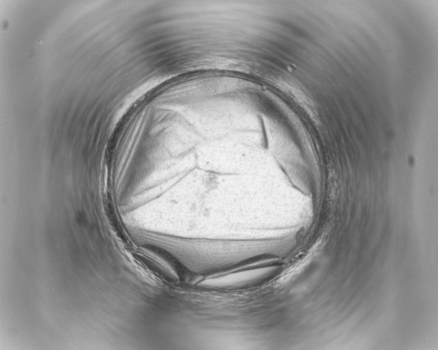 X0000087031125200705141915