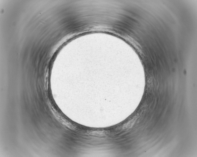 X0000087031126200705141915