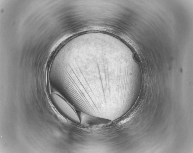 X0000087031127200705141915