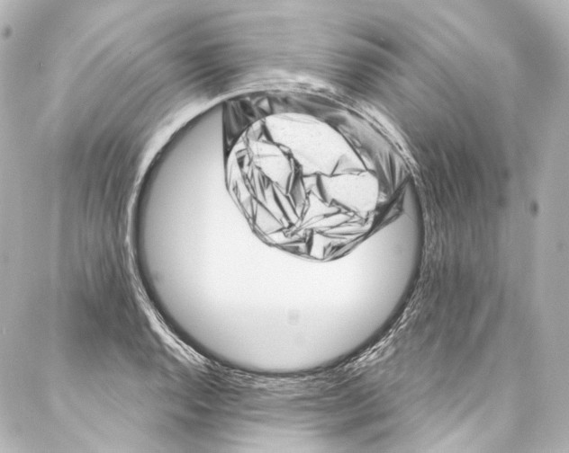 X0000087031128200705141915