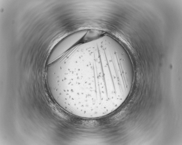 X0000087031129200705141915