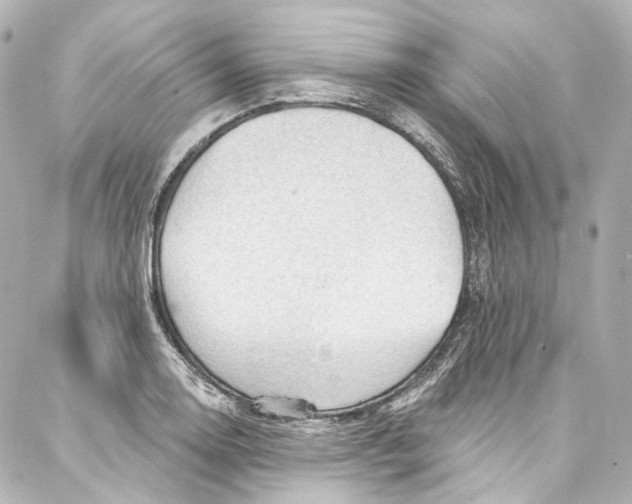 X0000087031130200705141915