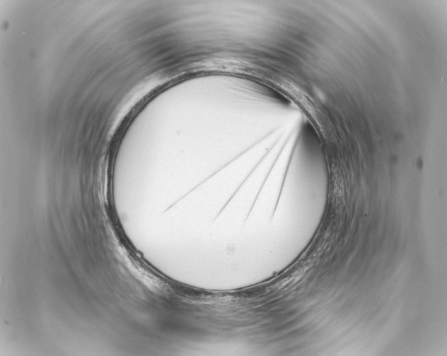 X0000087031131200705141915