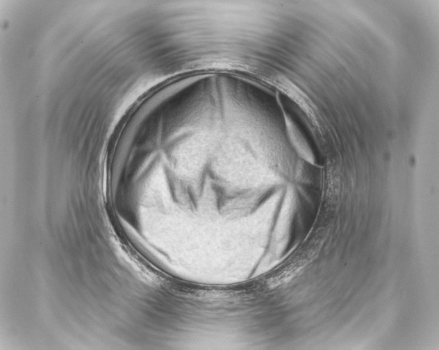 X0000087031132200705141915