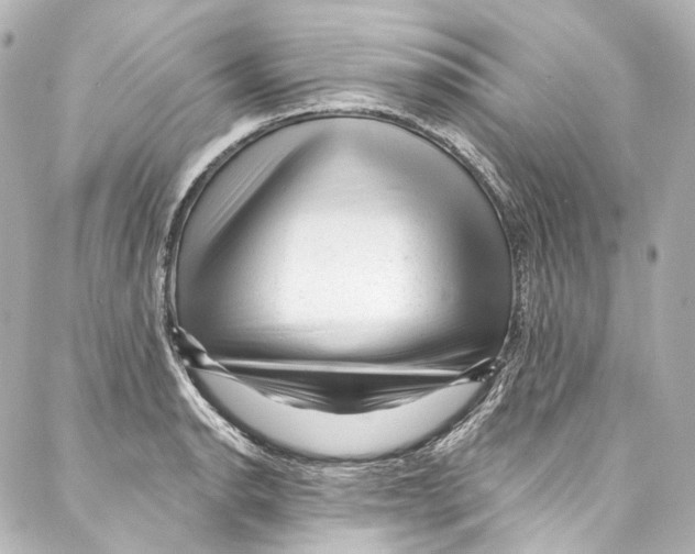 X0000087031134200705141915