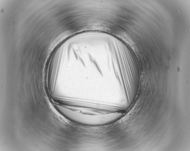 X0000087031135200705141915