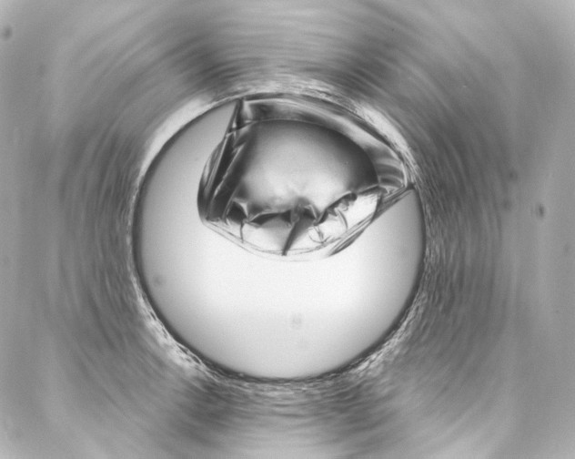 X0000087031138200705141915