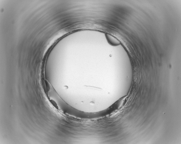 X0000087031139200705141915