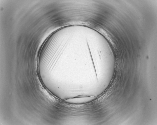 X0000087031140200705141915