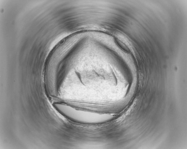 X0000087031141200705141915