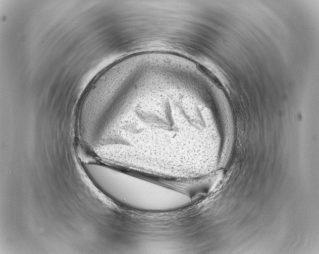 X0000087031142200705141915