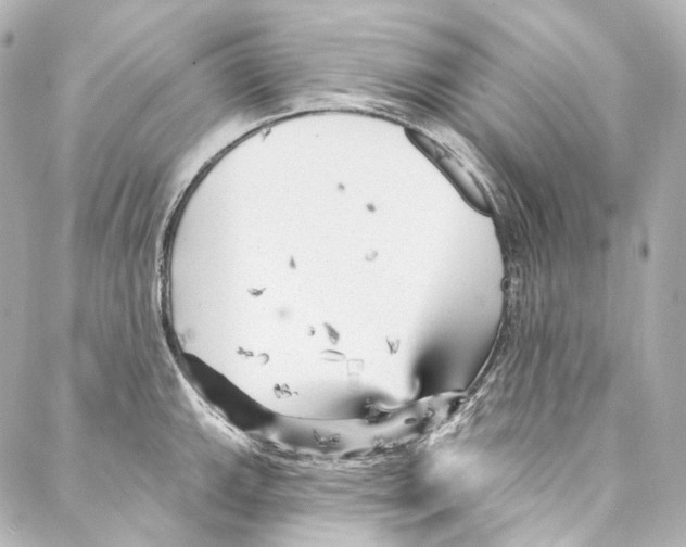 X0000087031143200705141915