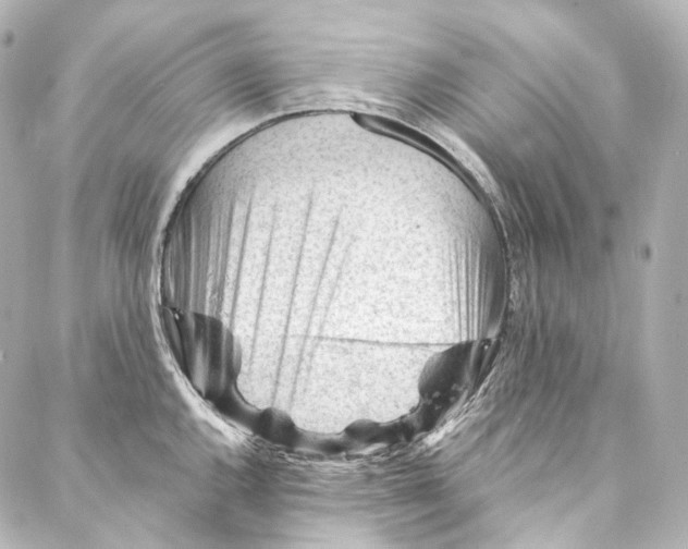 X0000087031144200705141915