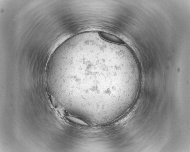 X0000087031145200705141915