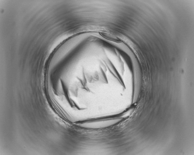 X0000087031147200705141915