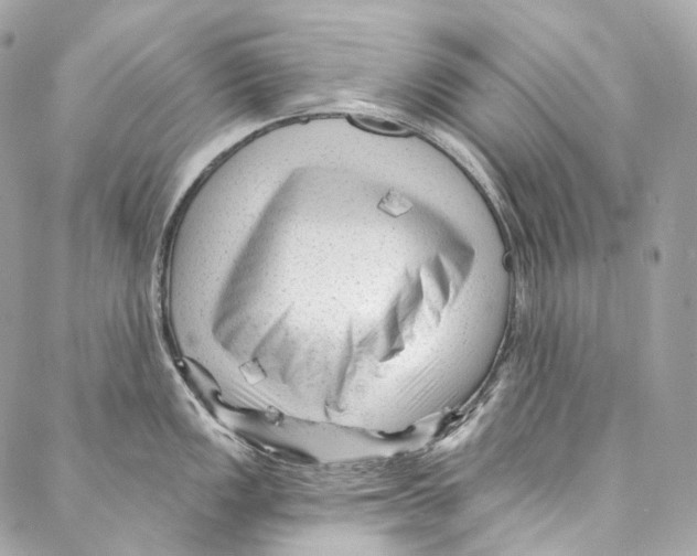 X0000087031149200705141916