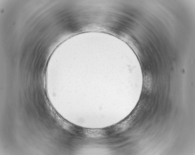 X0000087031150200705141916