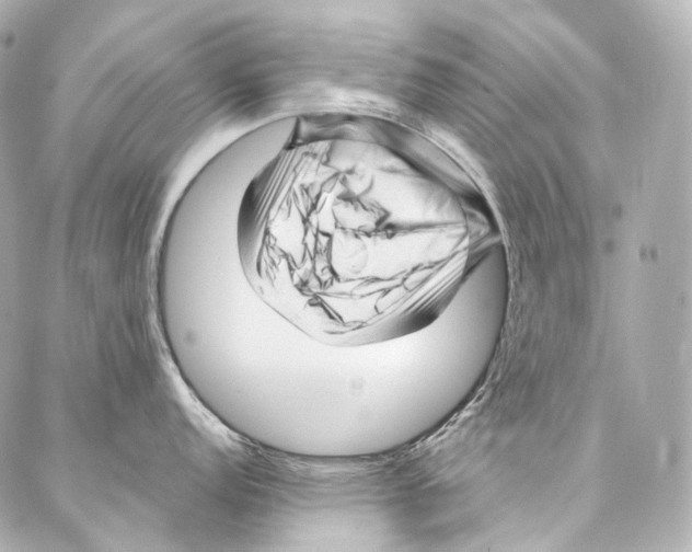 X0000087031152200705141916