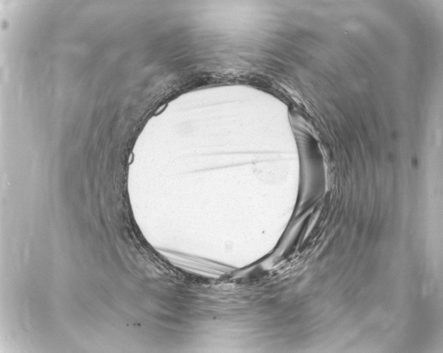 X0000087031153200705141915