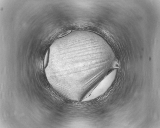 X0000087031155200705141915