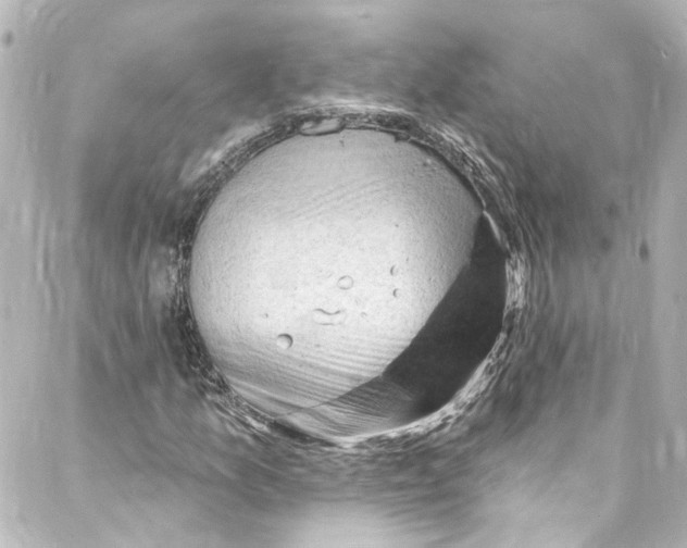 X0000087031157200705141915