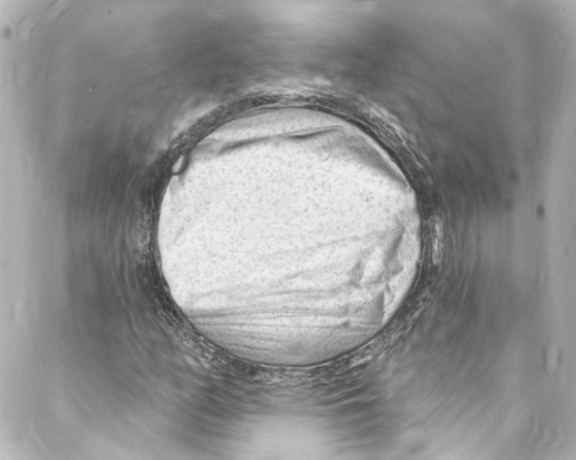 X0000087031158200705141915